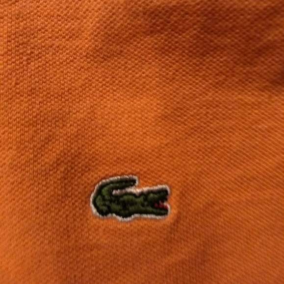 🐊🐊 Authentic Lacoste - Picture 4 of 5